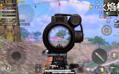 和平精英ss23辅助币怎么答题（和平精英30天特权卡怎么答题）